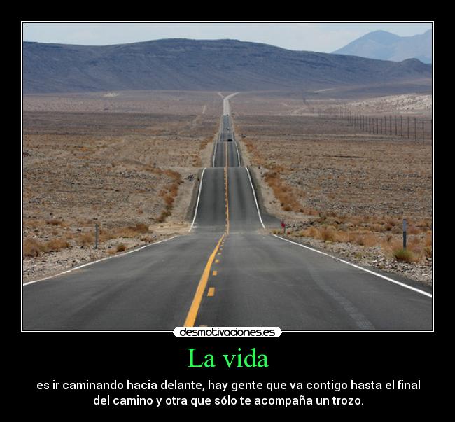 La vida - 