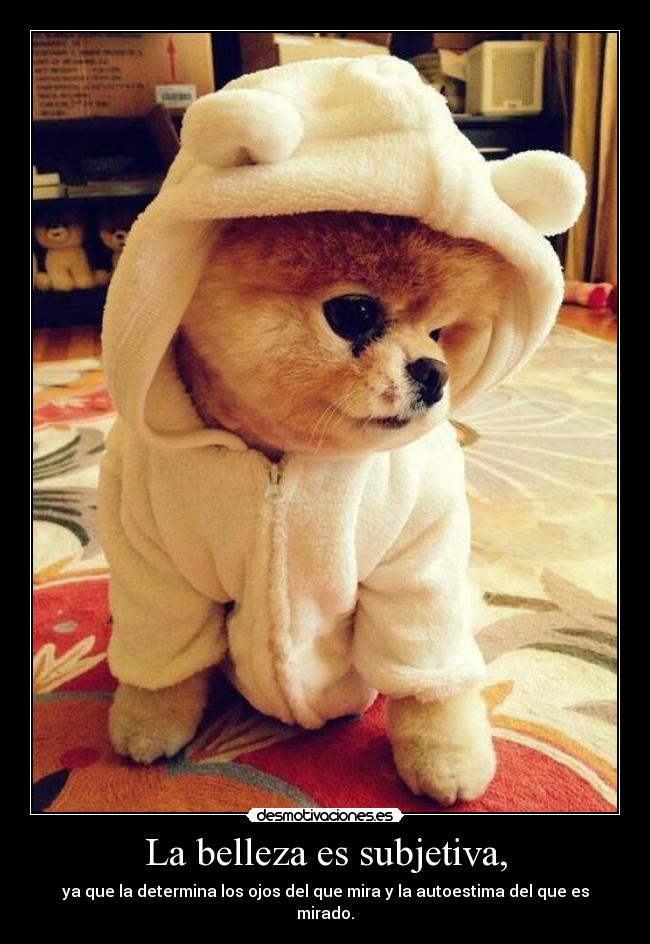 carteles telyg ejercitodemar yahoramevuelvopokehipster desmotivaciones