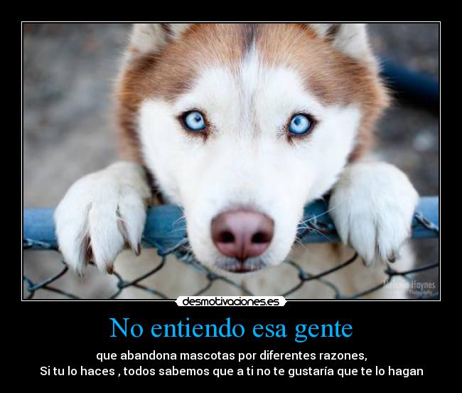 carteles abandono desmotivaciones