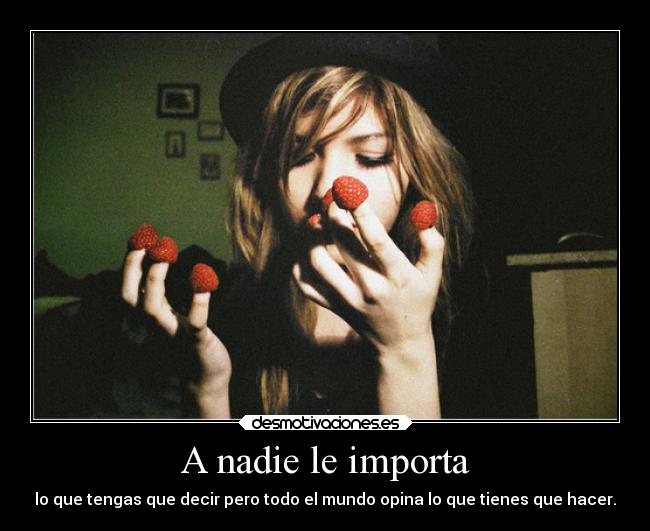 carteles animales frase twitter desmotivaciones