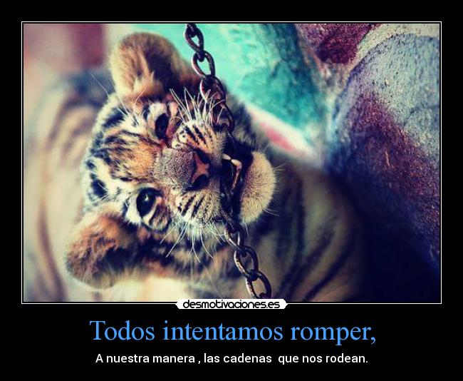 Todos intentamos romper, - A nuestra manera , las cadenas que nos rodean.