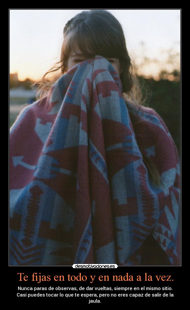Te fijas en todo y en nada a la vez. - Nunca paras de observas, de dar vueltas, siempre en el mismo sitio.
Casi puedes tocar lo que te espera, pero no eres capaz de salir de la
jaula.
