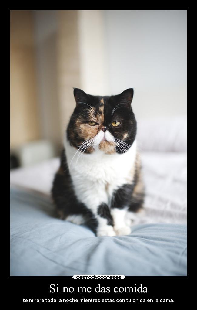Si no me das comida -