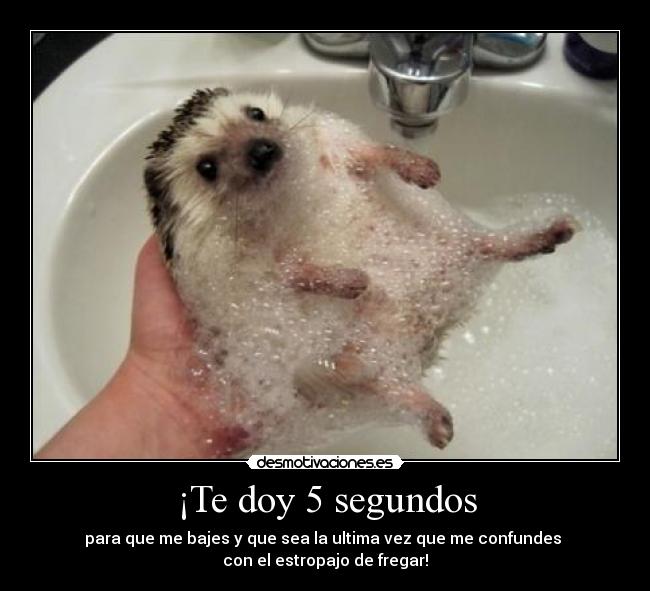 ¡Te doy 5 segundos - para que me bajes y que sea la ultima vez que me confundes
con el estropajo de fregar!