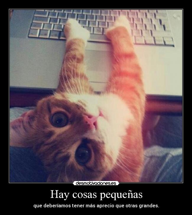 Hay cosas pequeñas - 