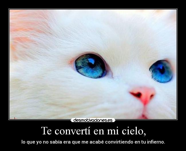 Te convertí en mi cielo, - lo que yo no sabía era que me acabé convirtiendo en tu infierno.
