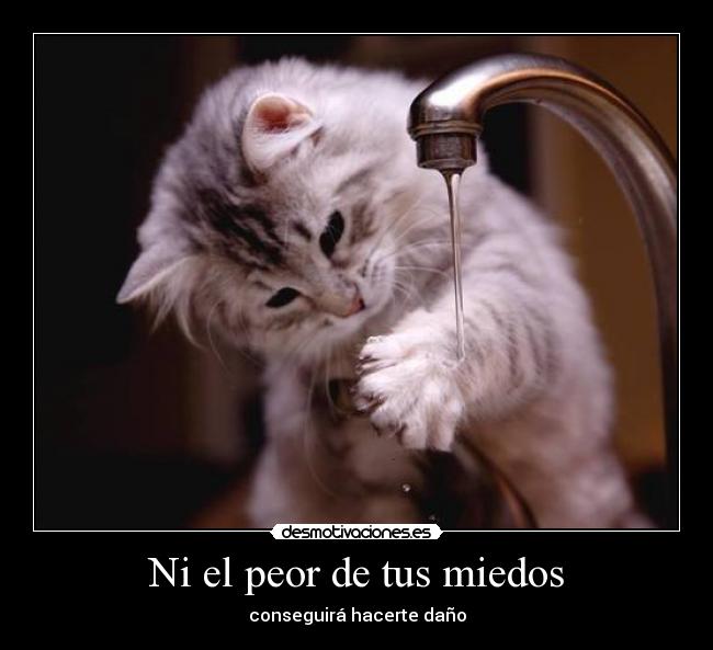 Ni el peor de tus miedos - conseguirá hacerte daño