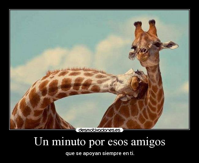 Un minuto por esos amigos - que se apoyan siempre en ti.