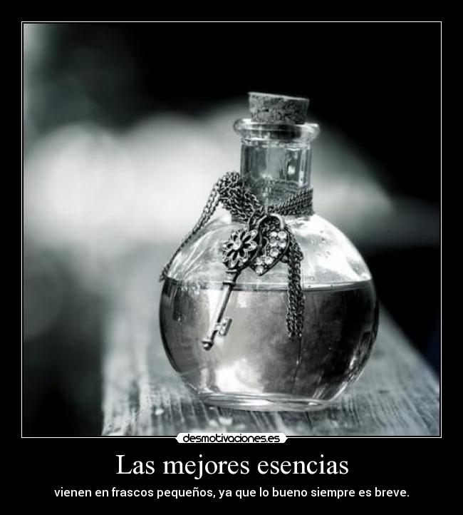 carteles telyg ejercitodemar yahoramevuelvopokehipster desmotivaciones