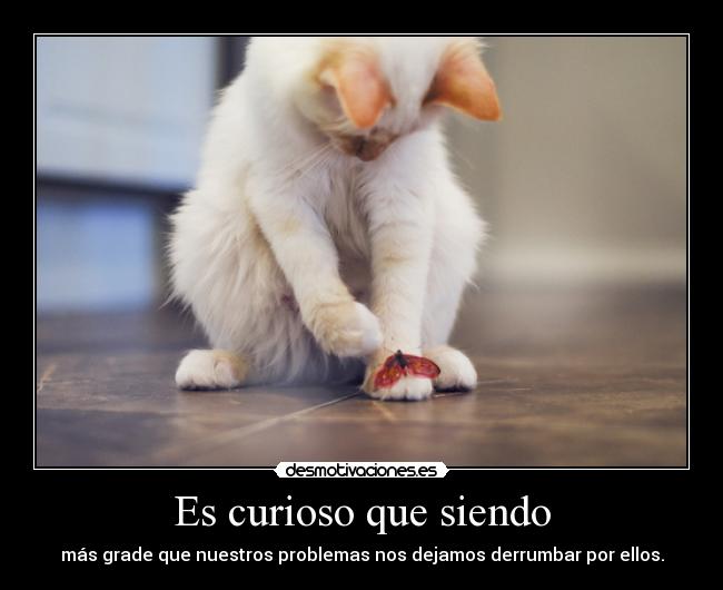 carteles telyg ejercitodemar yahoramevuelvopokehipster desmotivaciones