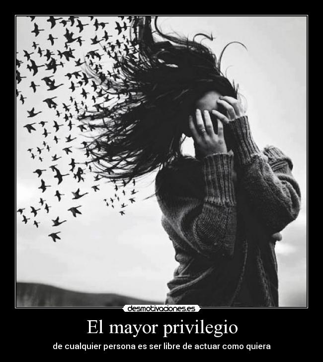 El mayor privilegio - 