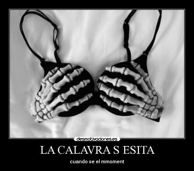 LA CALAVRA S ESITA - 