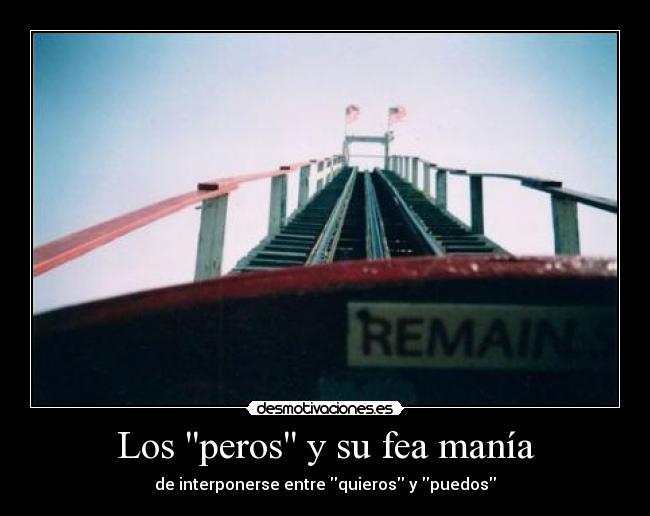 Los peros y su fea manía - 