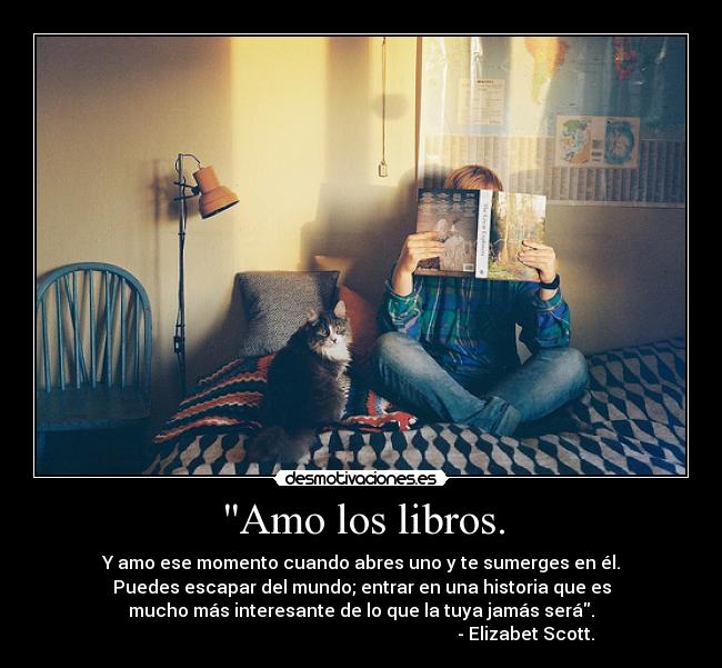 carteles libros amar leer dannaconsentida desmotivaciones