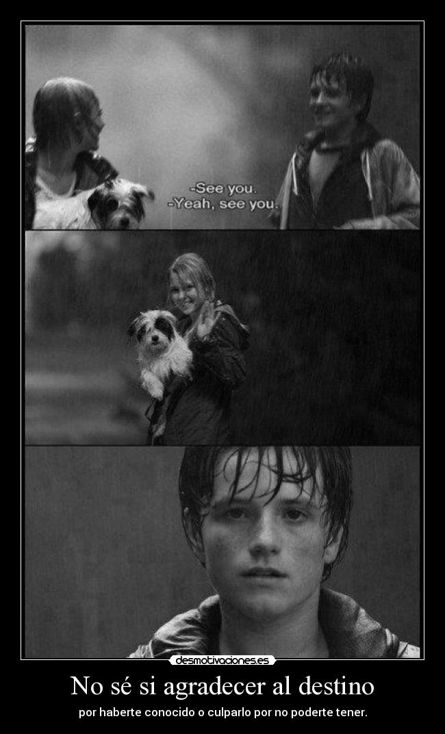 No sé si agradecer al destino - 