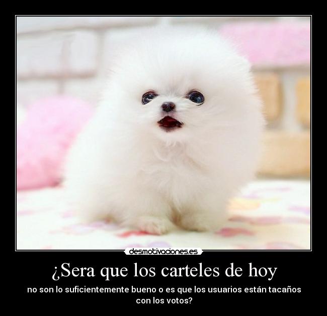 ¿Sera que los carteles de hoy - no son lo suficientemente bueno o es que los usuarios están tacaños
con los votos?