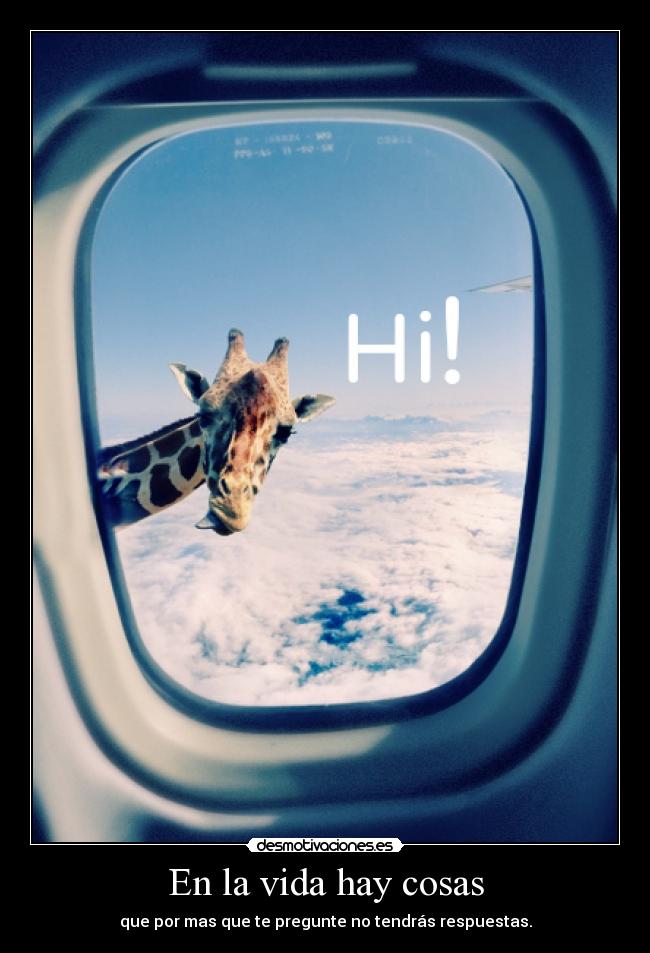 En la vida hay cosas - que por mas que te pregunte no tendrás respuestas.