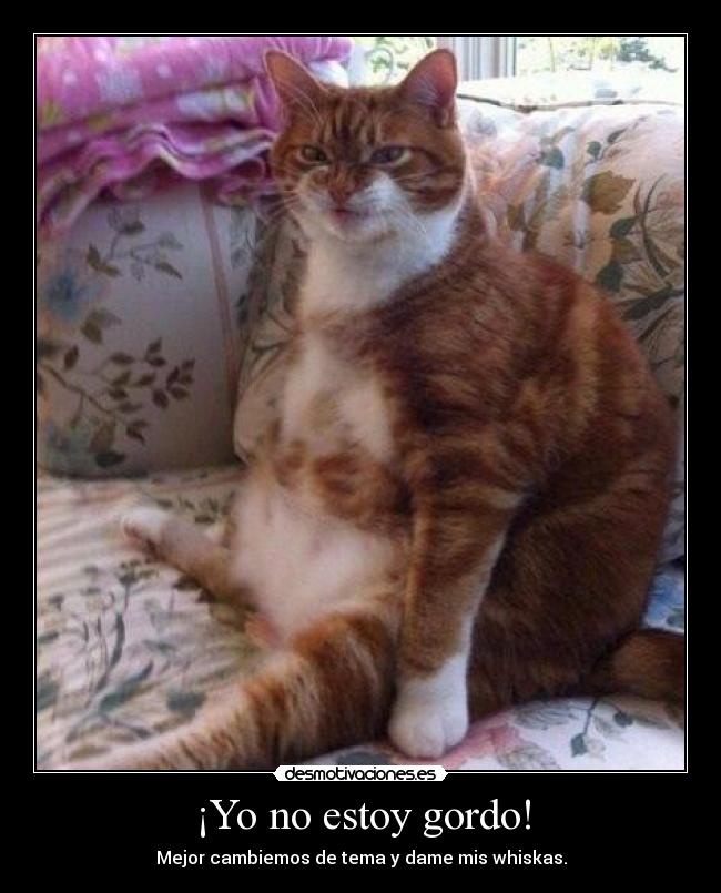 ¡Yo no estoy gordo! - 