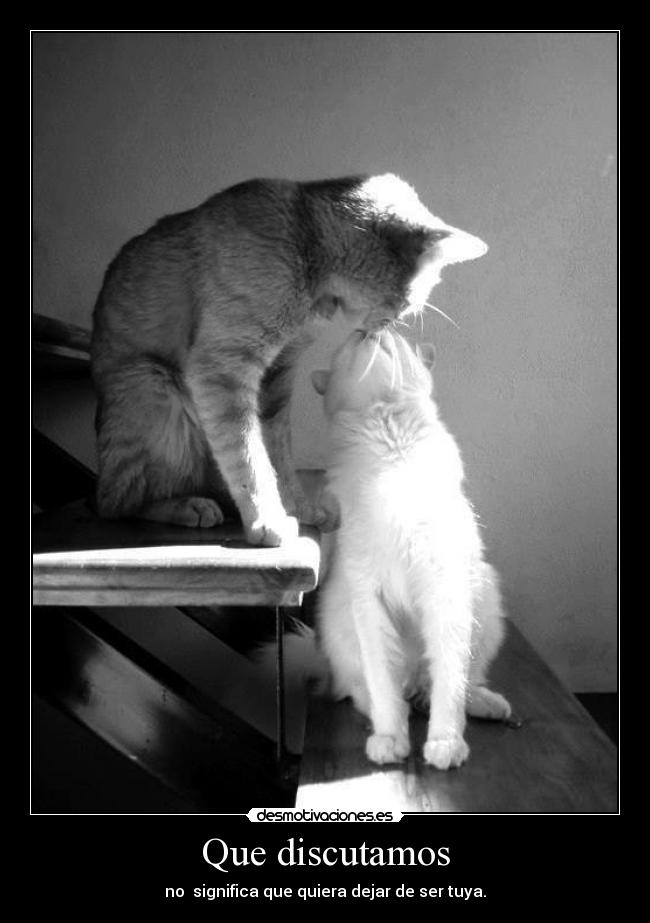 Que discutamos - no significa que quiera dejar de ser tuya.