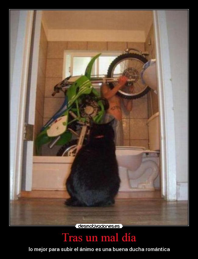 Tras un mal día - 