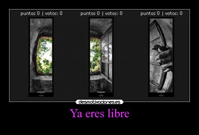 carteles libertad desmotivaciones