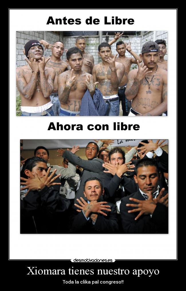 carteles ignorancia desmotivaciones