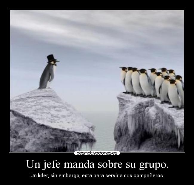 Un jefe manda sobre su grupo. - 