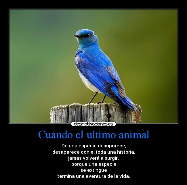 Cuando el ultimo animal -