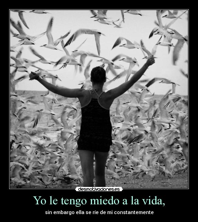 Yo le tengo miedo a la vida, -