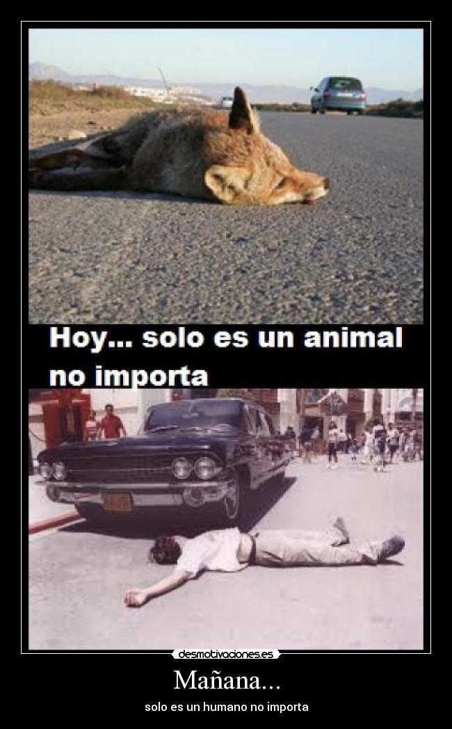 Mañana... - solo es un humano no importa