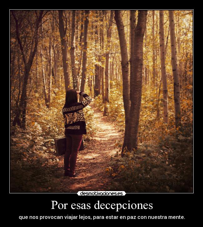 Por esas decepciones - 