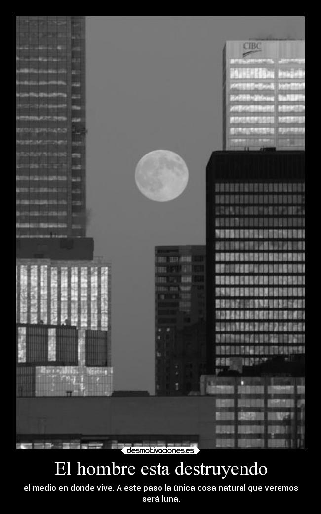 El hombre esta destruyendo - el medio en donde vive. A este paso la única cosa natural que veremos será luna.
