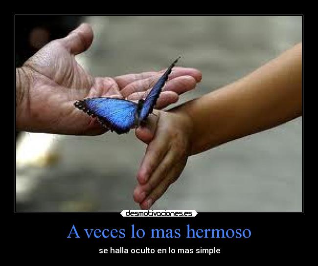 A veces lo mas hermoso -