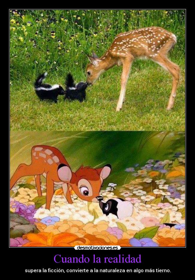 Cuando la realidad -
