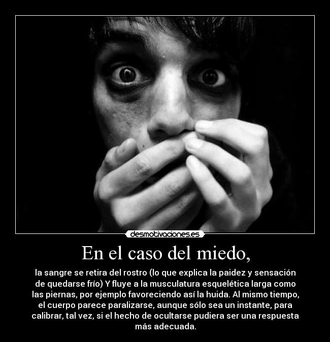 En el caso del miedo, - la sangre se retira del rostro (lo que explica la paidez y sensación
de quedarse frío) Y fluye a la musculatura esquelética larga como
las piernas, por ejemplo favoreciendo así la huida. Al mismo tiempo,
el cuerpo parece paralizarse, aunque sólo sea un instante, para
calibrar, tal vez, si el hecho de ocultarse pudiera ser una respuesta
más adecuada.