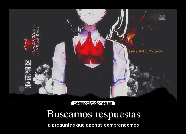 Buscamos respuestas - a preguntas que apenas comprendemos