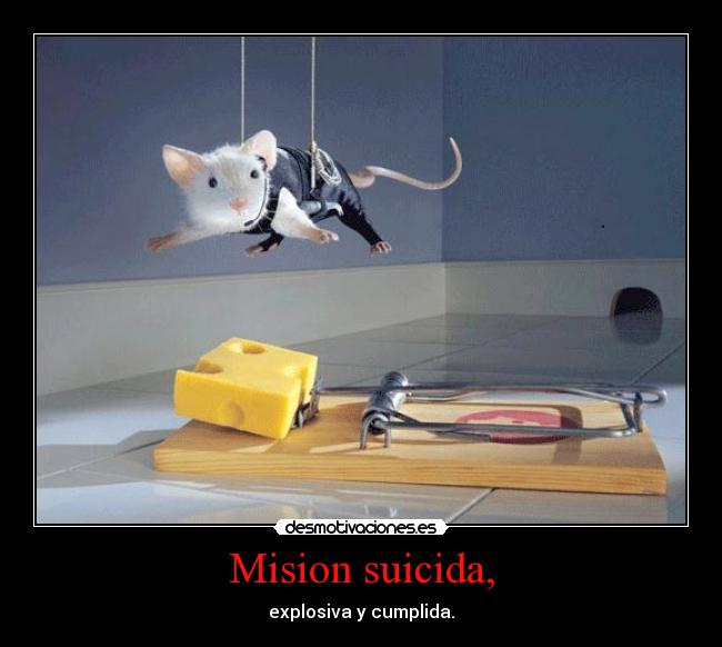 carteles animales clanloup amigo mata desmotivaciones