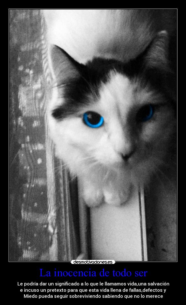La inocencia de todo ser -