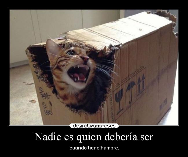 Nadie es quien debería ser - 