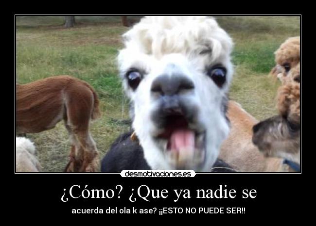 ¿Cómo? ¿Que ya nadie se - 
