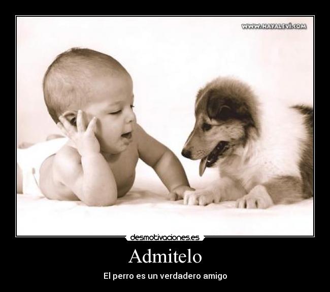 Admitelo -