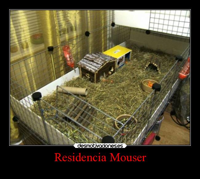 Residencia Mouser -