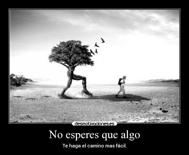 No esperes que algo - 