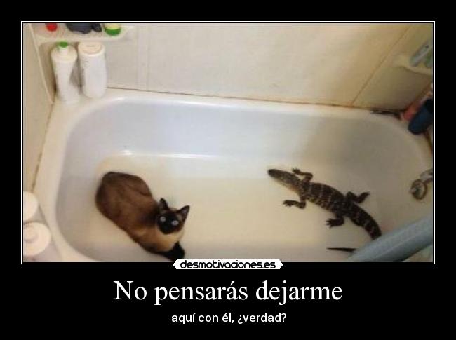 No pensarás dejarme -