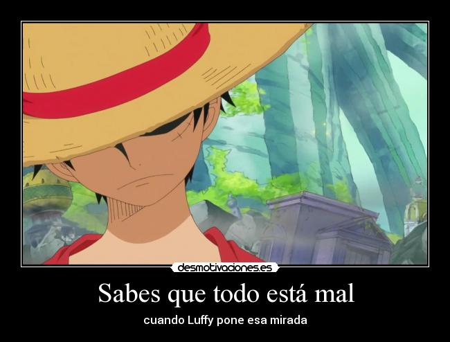 Sabes que todo está mal - cuando Luffy pone esa mirada