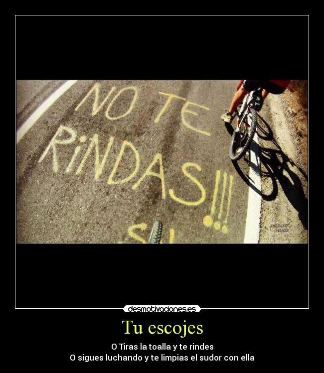 Tu escojes - O Tiras la toalla y te rindes
O sigues luchando y te limpias el sudor con ella