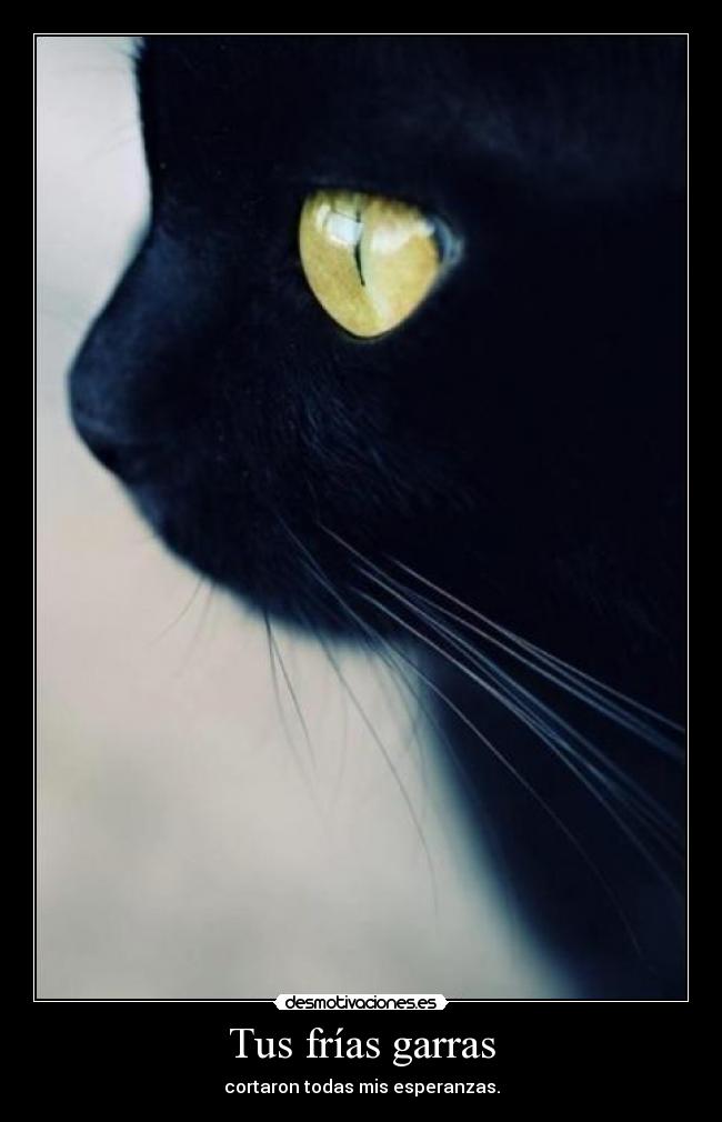 Tus frías garras - cortaron todas mis esperanzas.