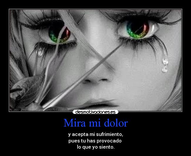 Mira mi dolor - y acepta mi sufrimiento,
pues tu has provocado
lo que yo siento.