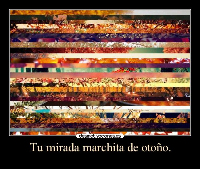 Tu mirada marchita de otoño. - 