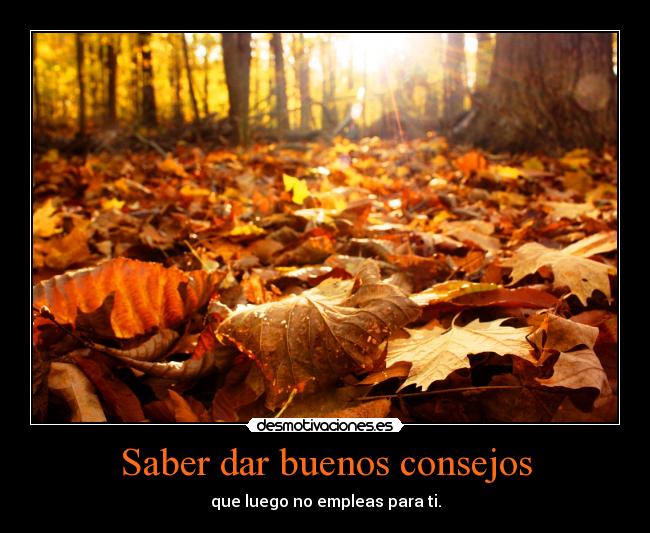 Saber dar buenos consejos - que luego no empleas para ti.